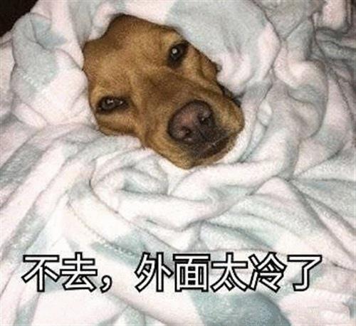 有时我无法在北部房间的暖气房间里睡觉