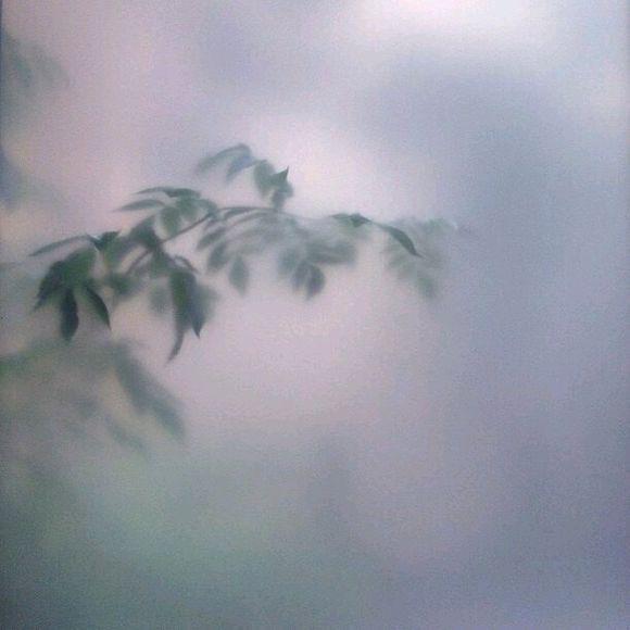 在清晨