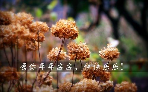 圣诞平安夜最快乐的事情是能够与您关心的人一起见证这一美好的时刻