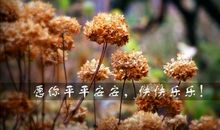 2019平安夜朋友圈心情说说