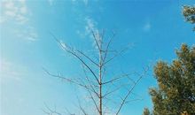 有时候一首歌想起一个人的说说