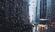 我对老婆失望的句子