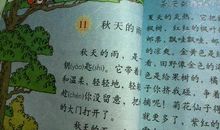 描写秋天的雨的句子摘抄