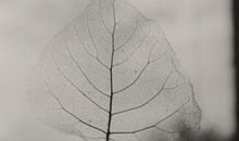 形容后悔结婚的句子