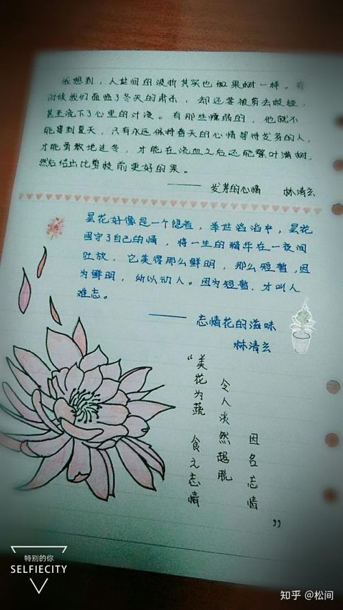 描述夏天摘录的句子 描述夏天摘录的句子1   1