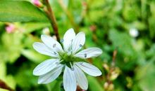 让男生后悔的句子