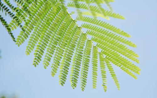 并谈谈您的心情