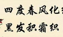 写老师奉献的句子