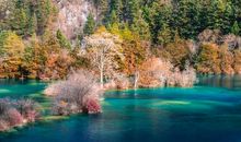 可以化开心中惆怅的句子