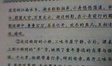 优美句子摘抄大全15字