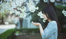 芳心暗许的暗恋句子