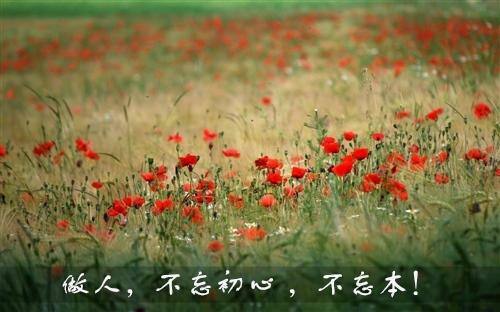 诚实并诚实做事