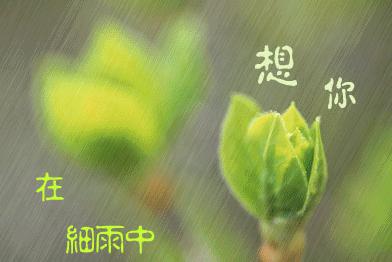    非常适合您在雨中安静地思考  1