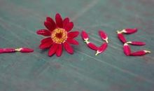 形容对感情的失望的句子说说心情短语