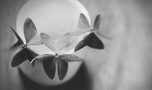 对自己团队失望的句子