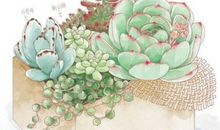 文艺的亲情句子说说心情