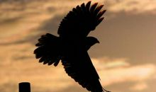 美到心碎的励志句子