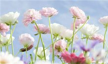 亲情很暖英文句子说说心情