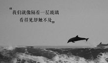 感觉自己傻傻的说说 致傻傻自己短句说说