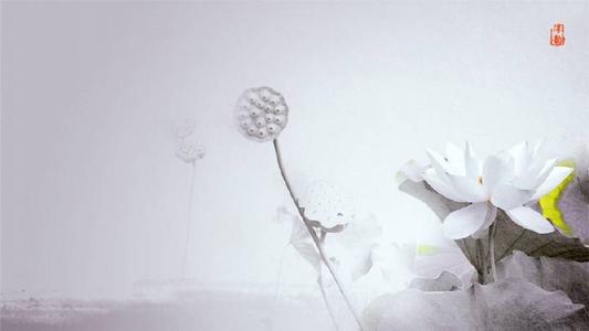 以下是一个让所有人失望的句子