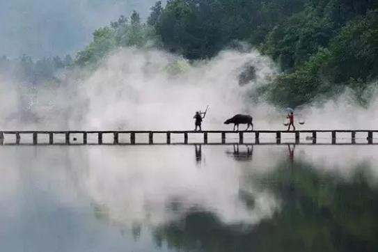 雨来自诗