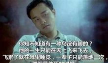 电影里的经典台词