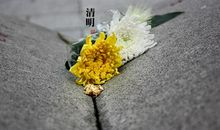 2020最新清明节短信问候祝福语大全 清明节该说什么祝福语