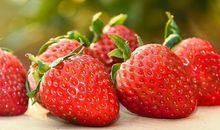 形容开心的好句子