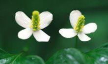 亲情哲理句子说说心情短语