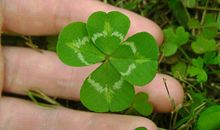 形容中奖开心的句子