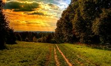 下午问候情人短信