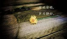 亲情温暖我心的句子说说心情