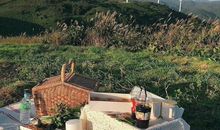 老人开心都开心的句子