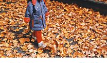 龙应台孩子你慢慢来经典语录