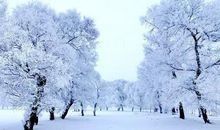 关于下雪的短句子 下雪的句子经典句子