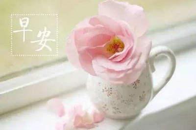 励志英语口号暂时精炼 0