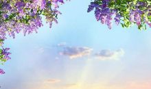 春天的抒情诗句