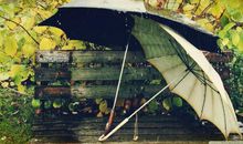 努力的哲理句子