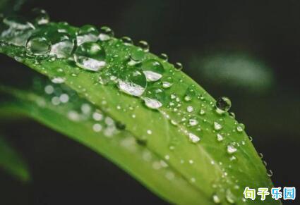 三月的雨