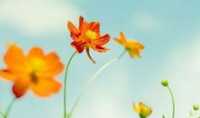 坚持成为更好的自己说说