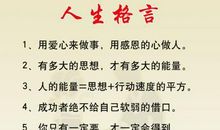 保险人生格言