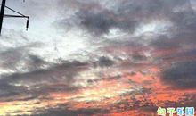 自律好句摘抄 一句话提醒自己自律