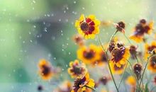 怀旧的人说说 怀旧的感伤说说