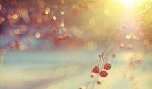 心宽心情好的句子