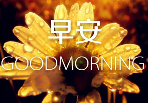 整理心情