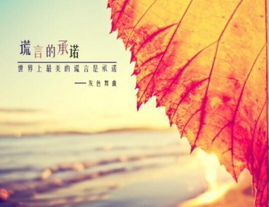 最害怕孤独