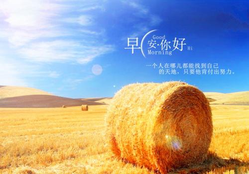 早上起来