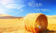 起床上班的早安简单一句话说说