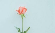 认识你们开心的句子