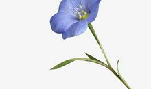 开心快乐的含蓄句子